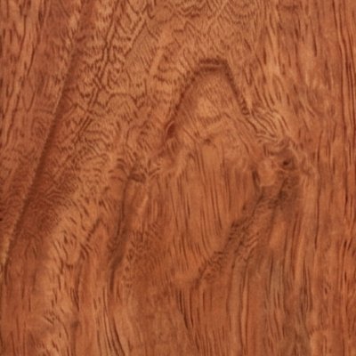 Indonesian Mahogany Wood Texture